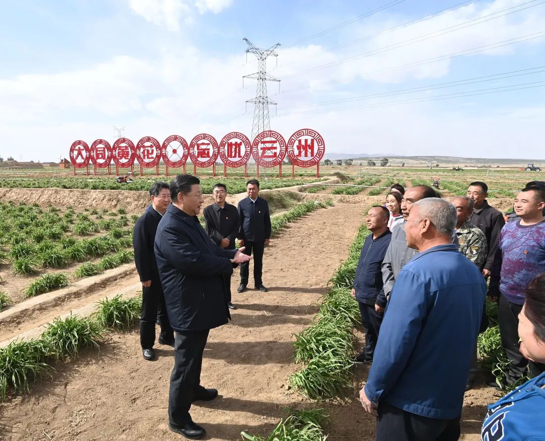 2020年5月11日，習近平考察山西大同市云州區有機黃花標準化種植基地。新華社記者 李學(xué)仁 攝